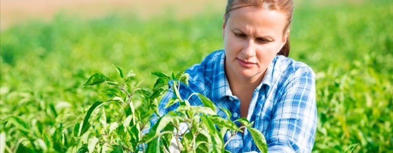 Imprenditoria femminile in agricoltura