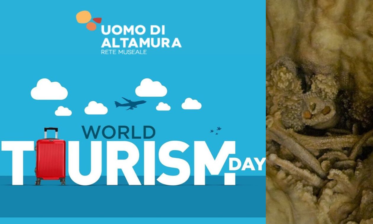 Rete museale “Uomo di Altamura” celebra la Giornata mondiale del Turismo con tour guidati ed escursioni