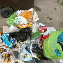 Raccolta differenziata ad Altamura: controlli a campione e sanzioni per chi sbaglia