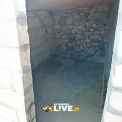 Furti nelle masserie: ad Altamura rubata un’intera sala di mungitura dal valore di circa 25mila euro