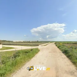 Al via i lavori sulle strade comunali esterne di Altamura. Tutte le 39 strade coinvolte