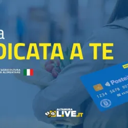 Carta “Dedicata a Te”, 1.000 euro per le famiglie: primi 500 euro dal 4 novembre. Come funziona