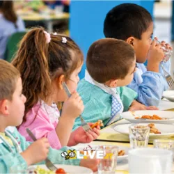 Mensa scolastica ad Altamura attiva da lunedì 5 ottobre. Cosa sapere sull’esenzione ticket
